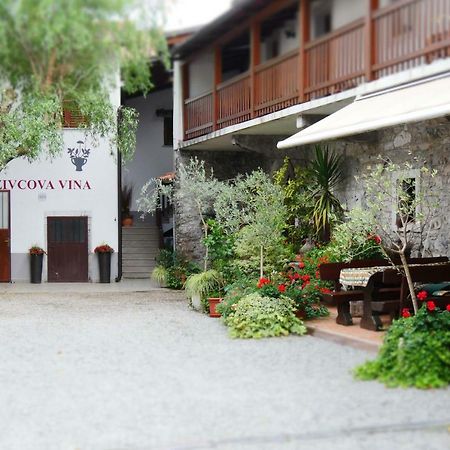 Apartmaji Pri Zivcovih Dutovlje Buitenkant foto