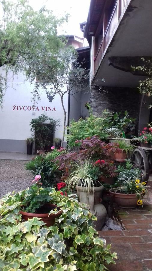 Apartmaji Pri Zivcovih Dutovlje Buitenkant foto