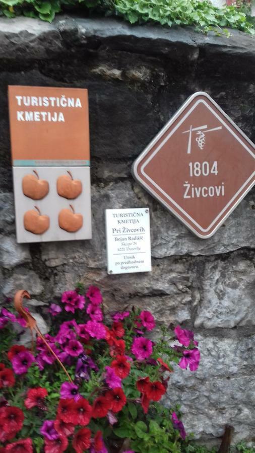 Apartmaji Pri Zivcovih Dutovlje Buitenkant foto