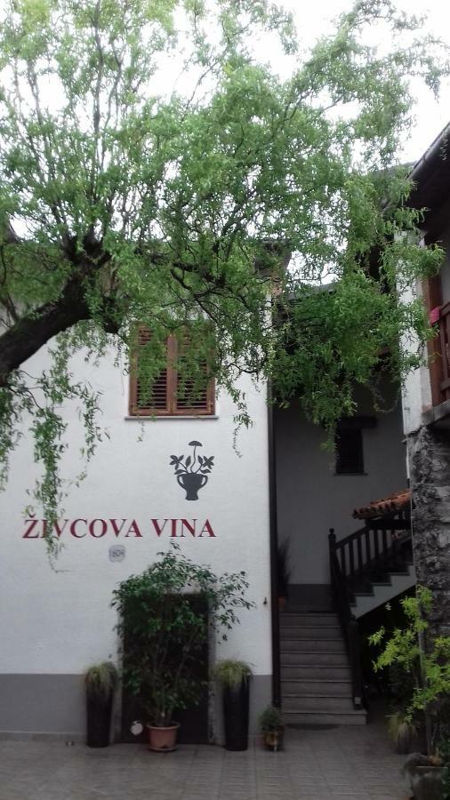 Apartmaji Pri Zivcovih Dutovlje Buitenkant foto