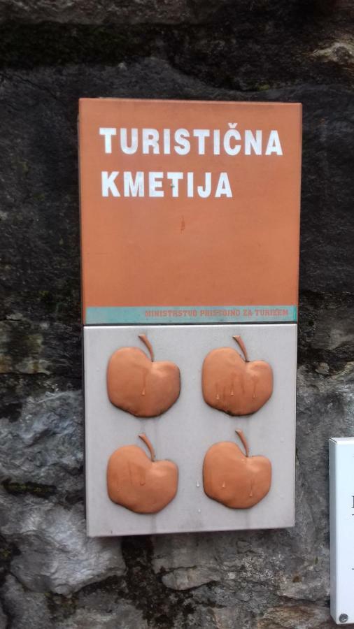 Apartmaji Pri Zivcovih Dutovlje Buitenkant foto